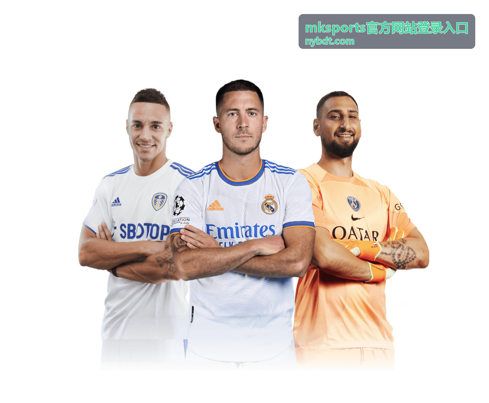 mksports官方网站登录入口官方动态栏目封面