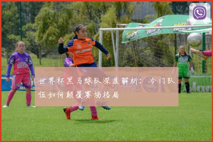 世界杯黑马球队深度解析：冷门队伍如何颠覆赛场格局