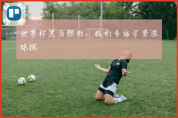 世界杯黑马预测，我们专访了资深球探