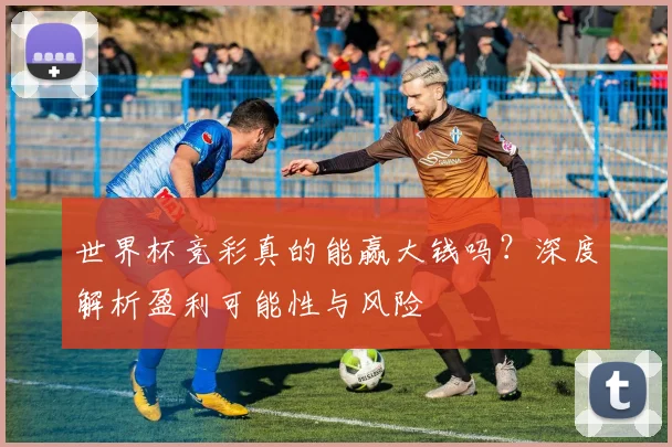 世界杯竞彩真的能赢大钱吗?深度解析盈利可能性与风险