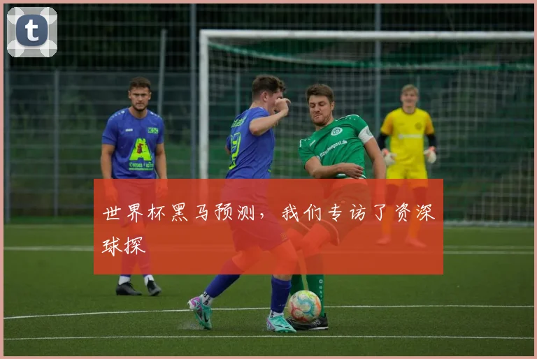 世界杯黑马预测，我们专访了资深球探