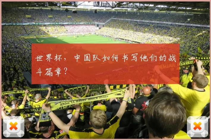 世界杯，中国队如何书写他们的战斗篇章？