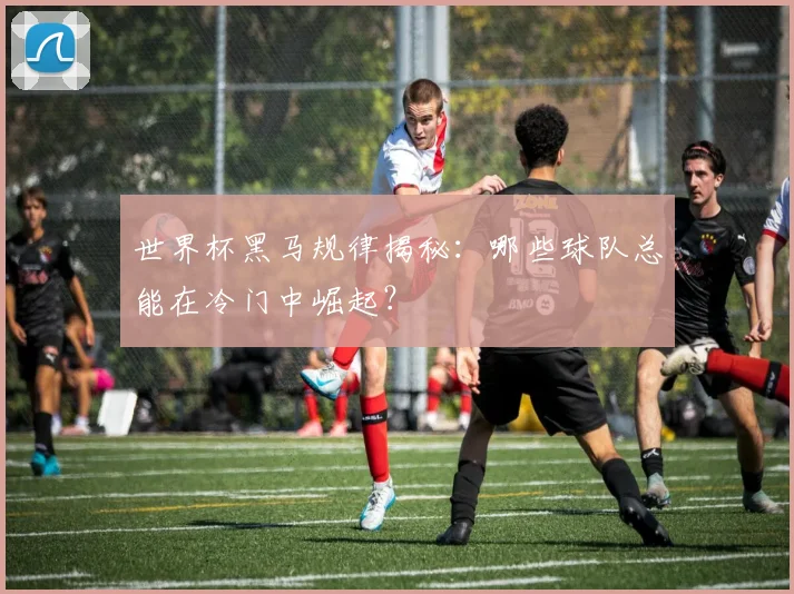 世界杯黑马规律揭秘：哪些球队总能在冷门中崛起？
