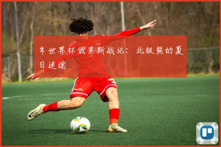 年世界杯俄罗斯战记：北极熊的夏日迷途