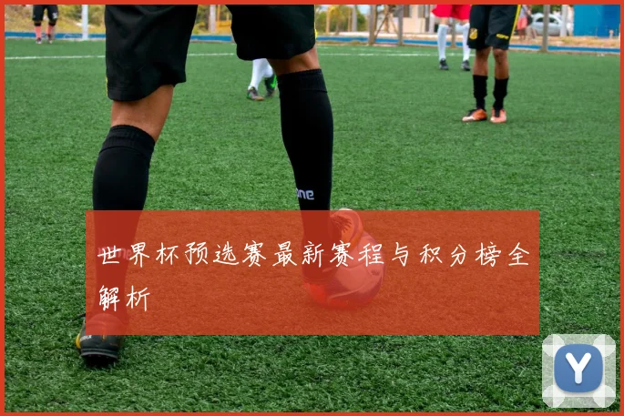 世界杯预选赛最新赛程与积分榜全解析