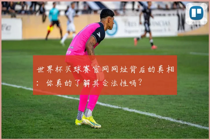 世界杯买球赛官网网址背后的真相：你真的了解其合法性吗？
