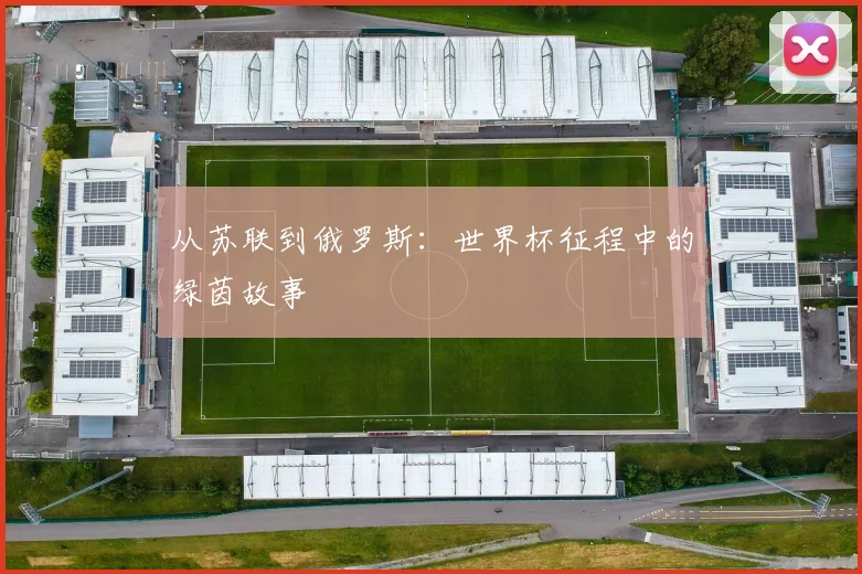 从苏联到俄罗斯：世界杯征程中的绿茵故事