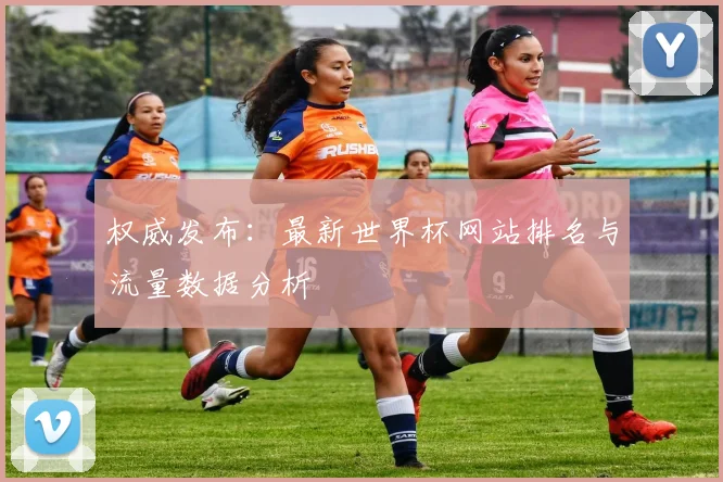 权威发布：最新世界杯网站排名与流量数据分析