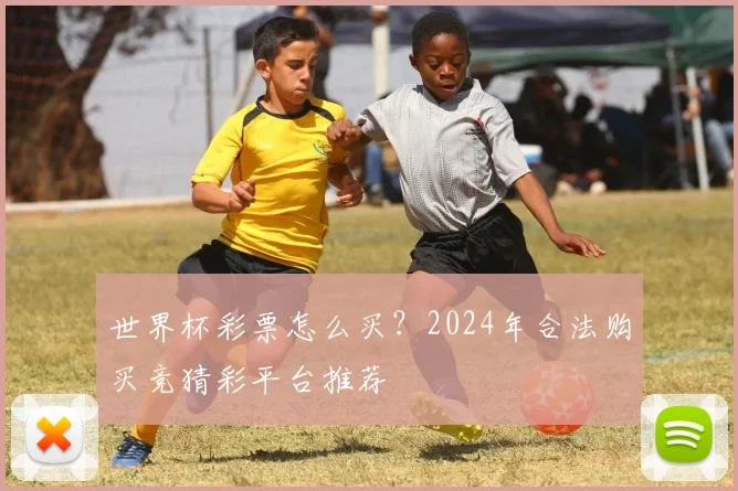 世界杯彩票怎么买？2024年合法购买竞猜彩平台推荐