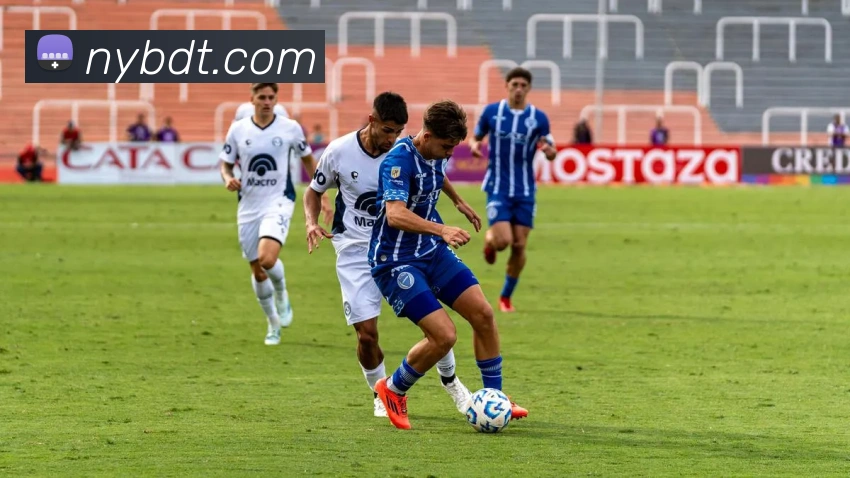 开云手机登录官网服务体系